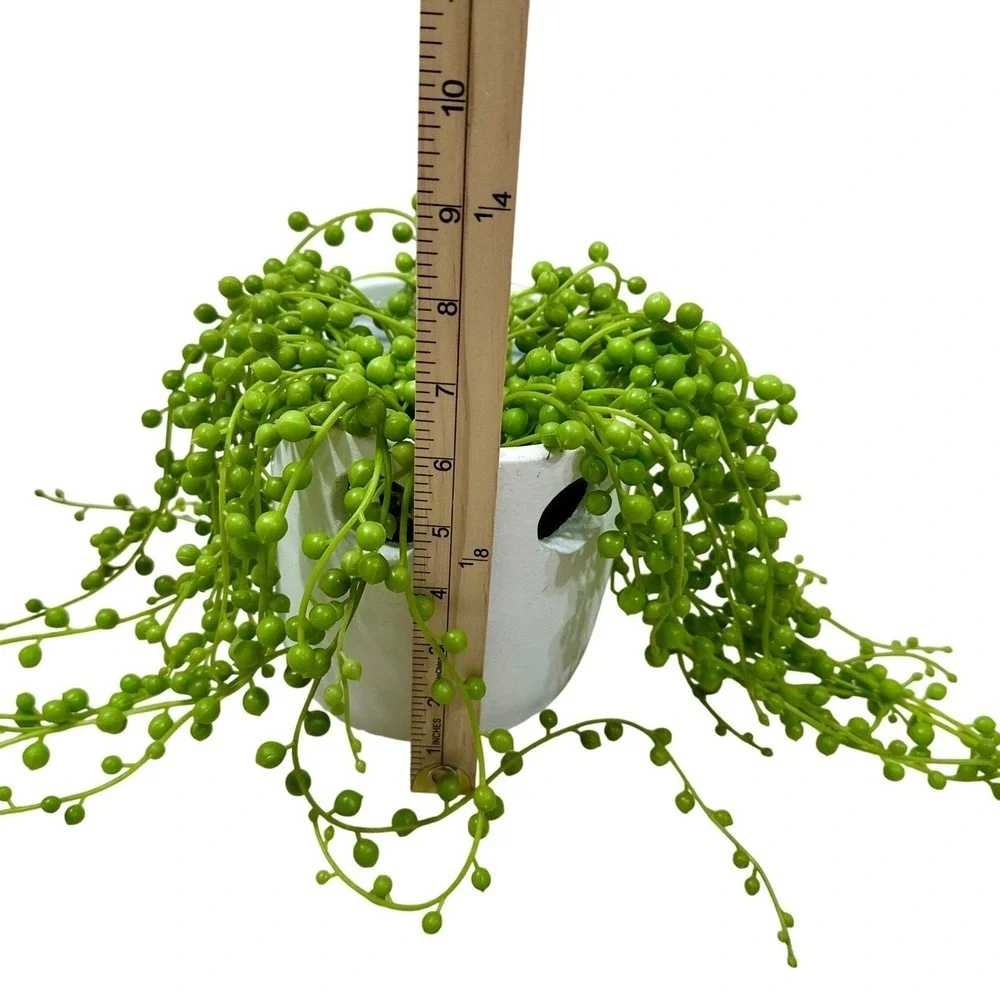 Artificial String of‎ Pearls Faux Succulent Plant in White Ceramic Pot 18.5in